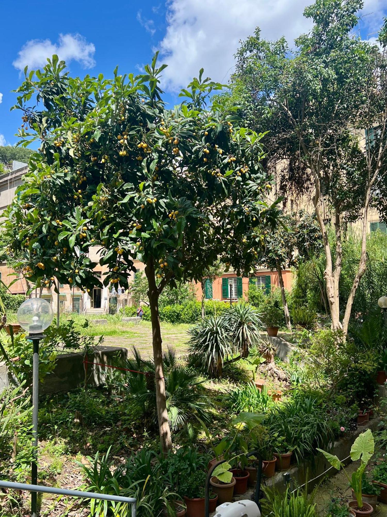 Apartment Al Lotto 27 Garbatella Storica Rome